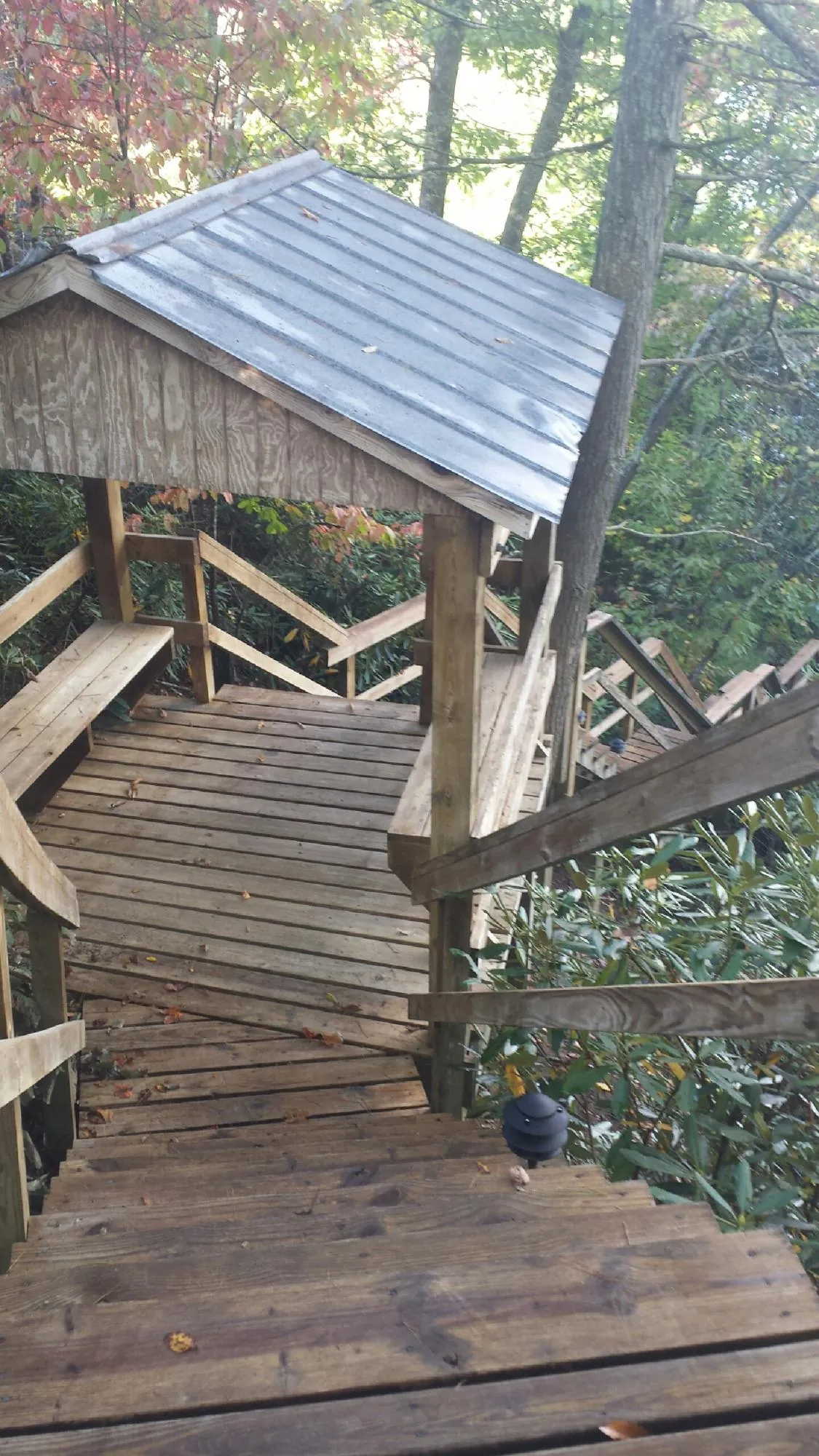 Metal roofed shelter over wooden steps on a wooded walkway — Skylight Repair & Installation work by our crew in Hickman